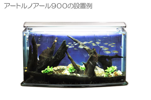 アートルノアール