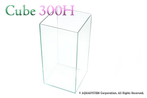 キューブ300H
