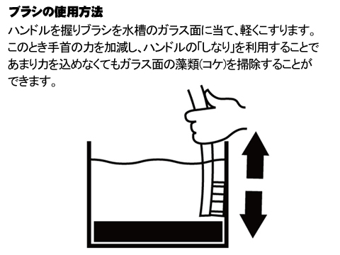 アルジーシステマ