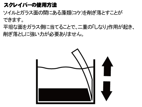 アルジーシステマ