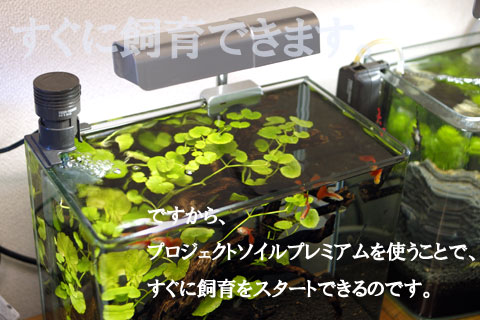 ������A�v���W�F�N�g�\�C���v���~�A�����g�����ƂŁA�����Ɏ�����X�^�[�g�ł���̂ł��B