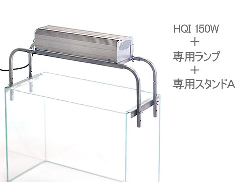 HQI 150W�Ɛ�p�X�^���h�`