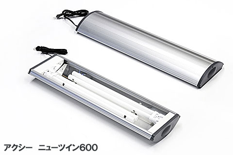 アクシーニューツイン