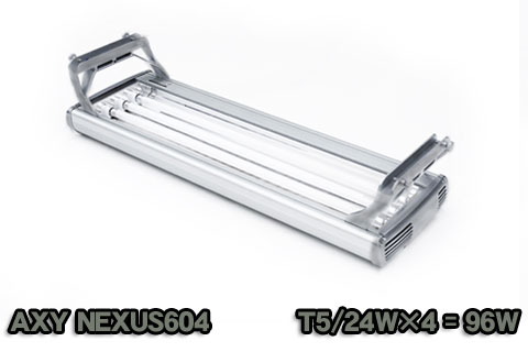 NEXUS604