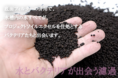 プロジェクトソイルエクセルと底面フィルターの併用で、水槽内の水すべてが、プロジェクトソイルエクセルを住処とするバクテリアたちと出会います。